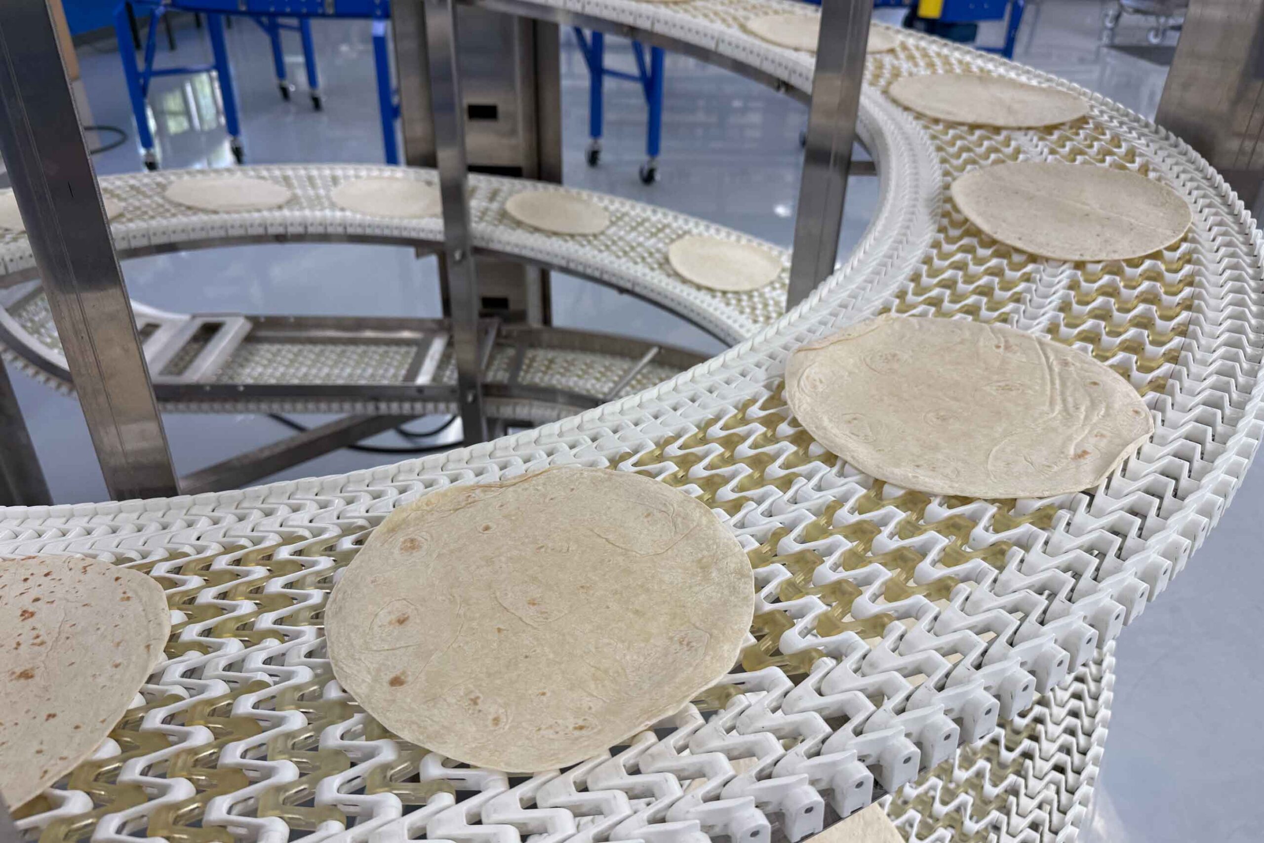 Tortillas on a spiral conveyor belt.