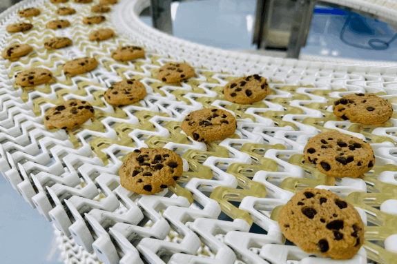 Rows of cookies on a bakery conveyor system. 