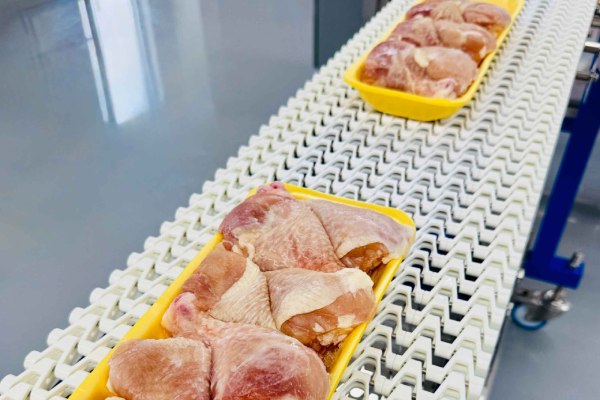 Packaged poultry on a conveyor system. 